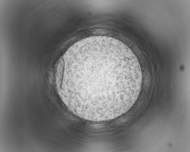 X0000116630755201001221400