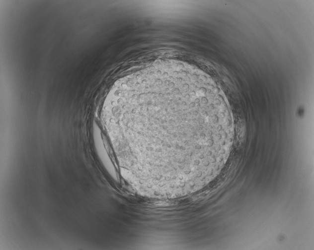 X0000116630759201001221400