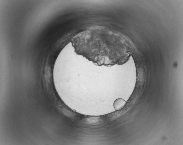 X0000116630761201001221400