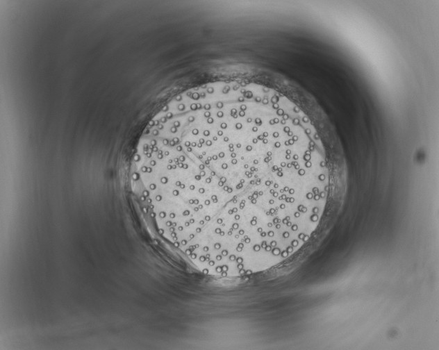X0000116630767201001221400