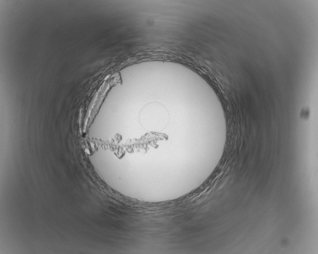 X0000116630769201001221400