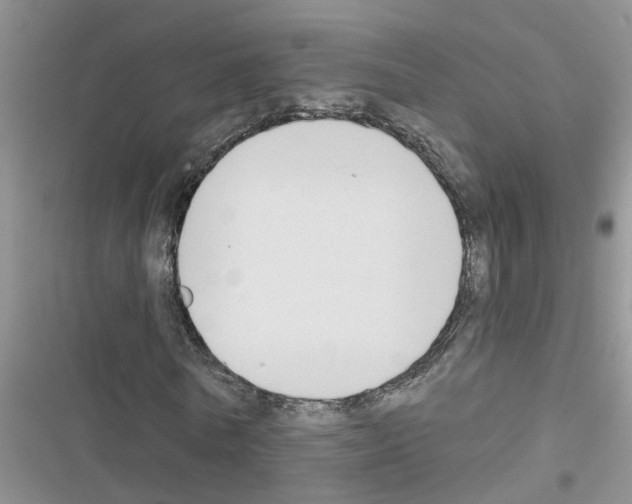 X0000116630770201001221400