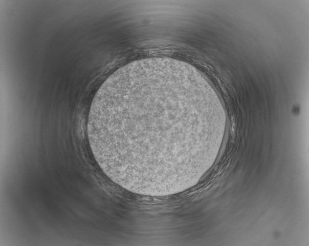 X0000116630772201001221400