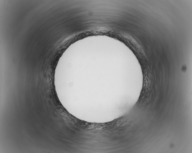 X0000116630773201001221400
