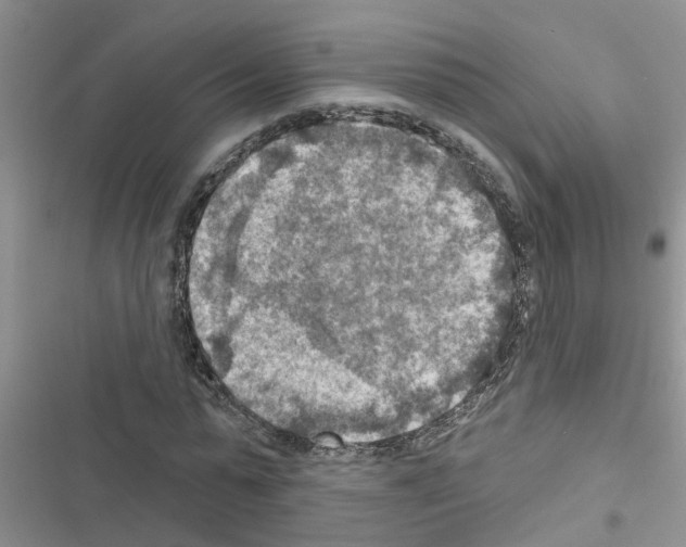 X0000116630775201001221400