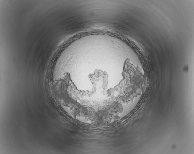 X0000116630776201001221400