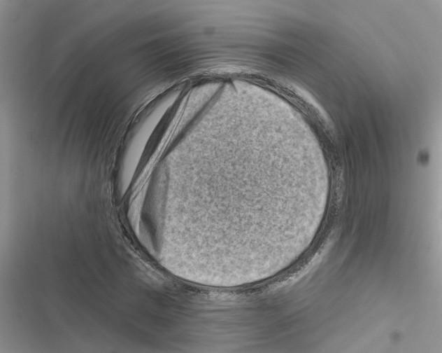 X0000116630777201001221400