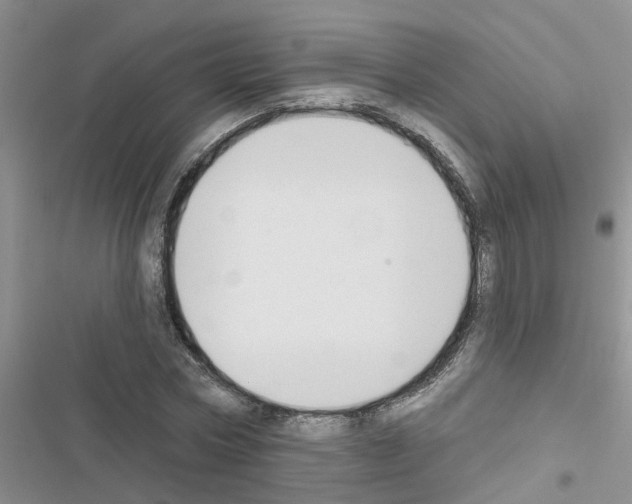X0000116630778201001221400