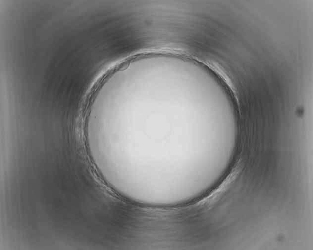 X0000116630781201001221400
