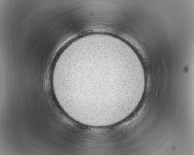 X0000116630782201001221400