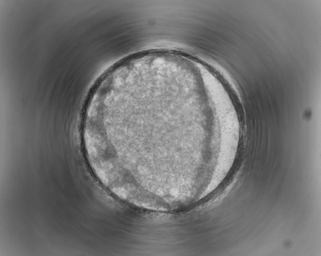 X0000116630783201001221400