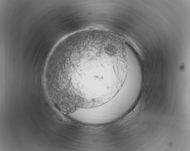 X0000116630784201001221400