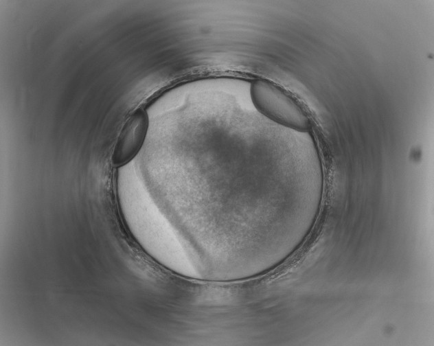 X0000116630785201001221400