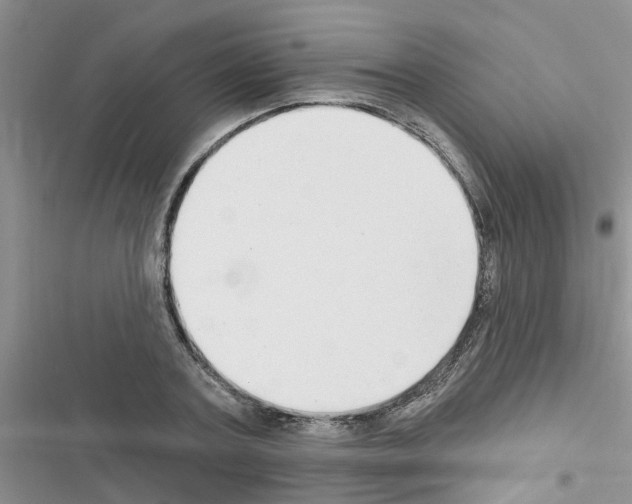 X0000116630787201001221400