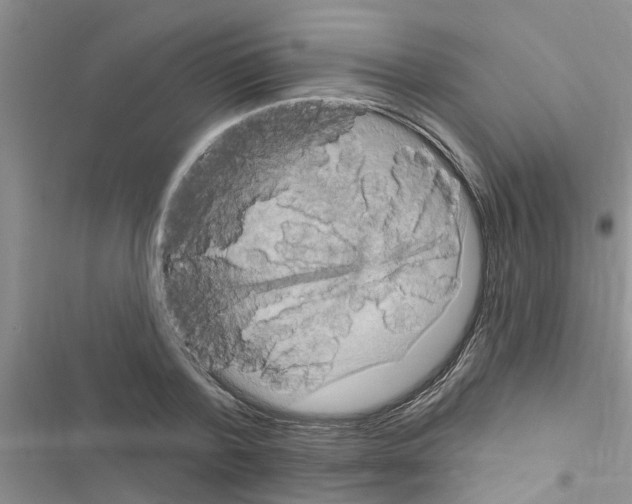 X0000116630788201001221400