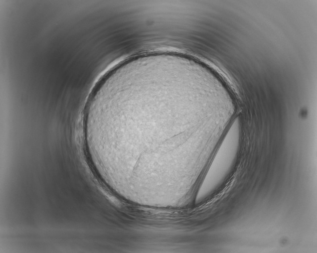 X0000116630790201001221400