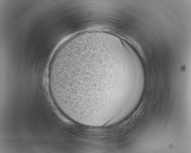 X0000116630792201001221400