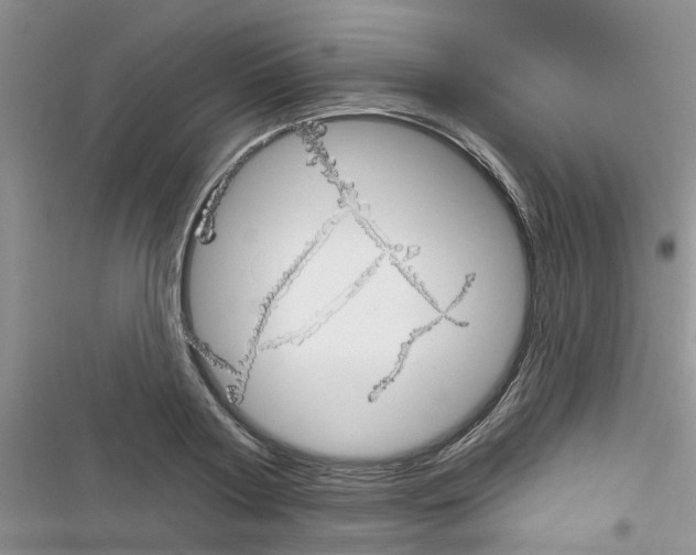 X0000116630794201001221359