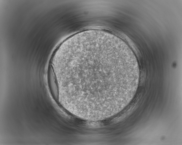 X0000116630795201001221359