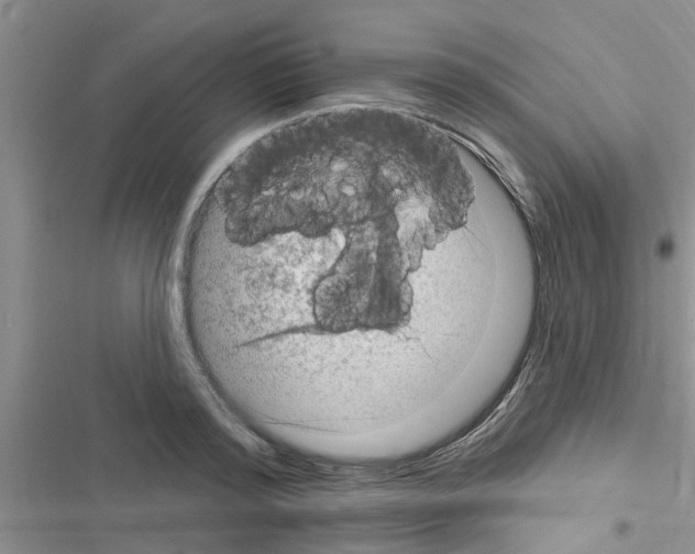 X0000116630796201001221359