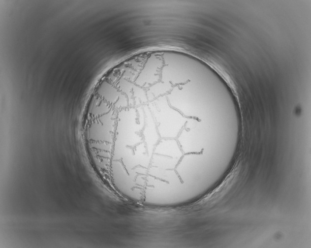 X0000116630797201001221359