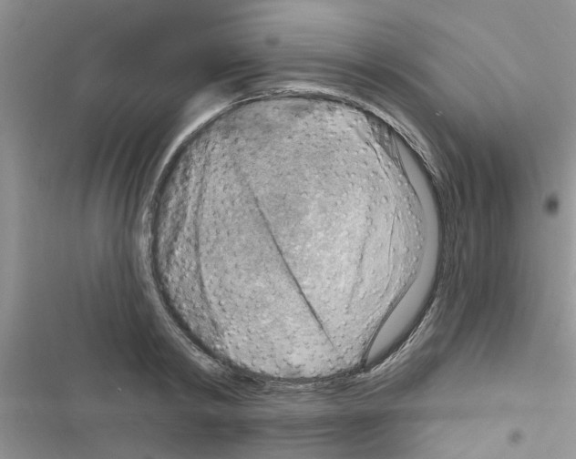X0000116630798201001221359