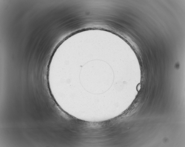 X0000116630799201001221359