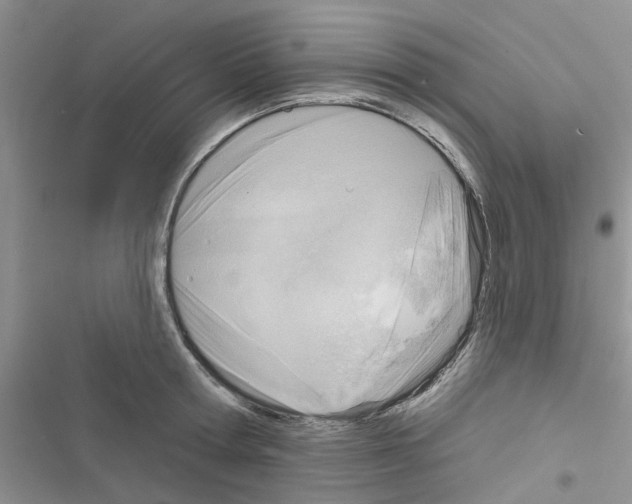 X0000116630802201001221359