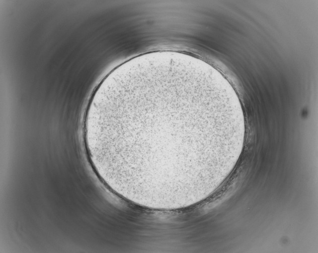 X0000116630803201001221359