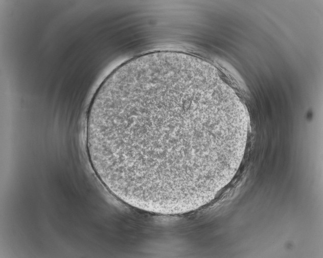 X0000116630804201001221359