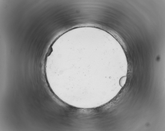 X0000116630805201001221359