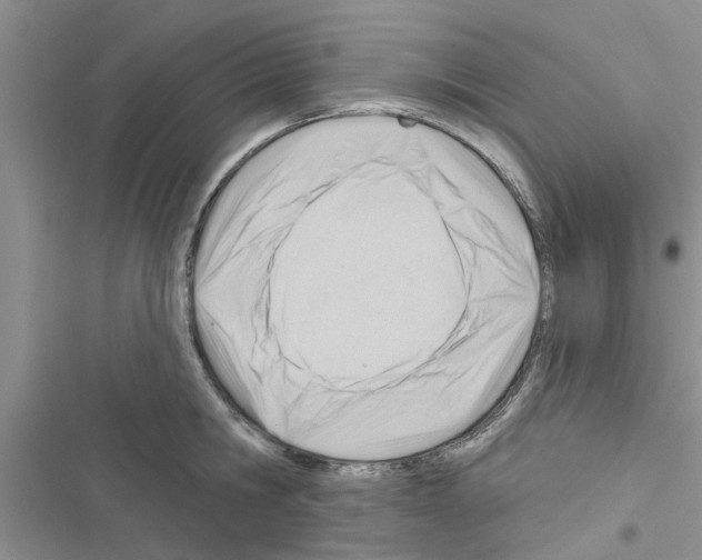 X0000116630806201001221359