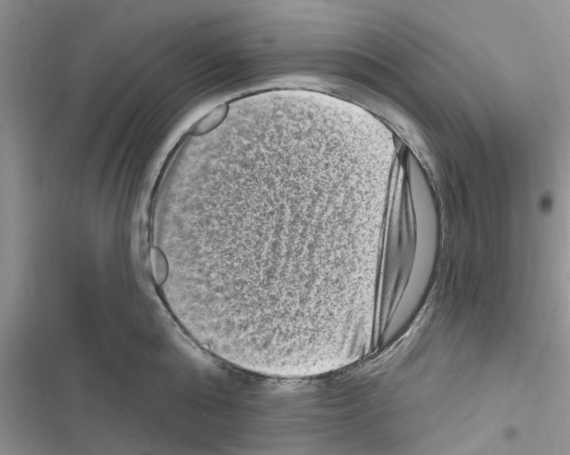 X0000116630808201001221359