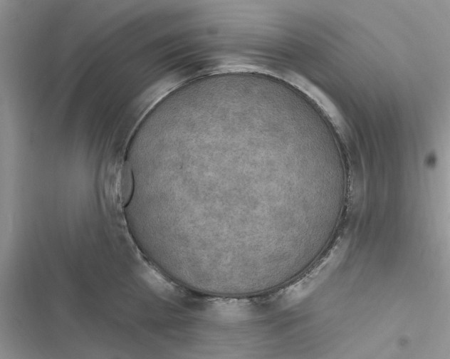 X0000116630809201001221359