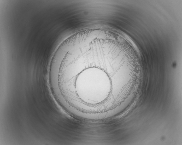X0000116630810201001221359