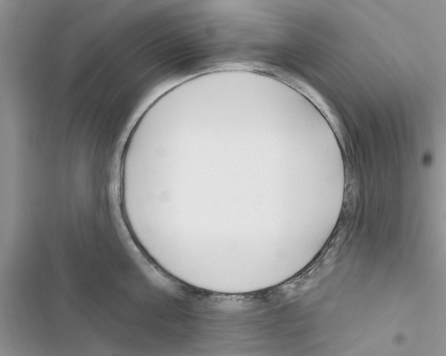 X0000116630811201001221359