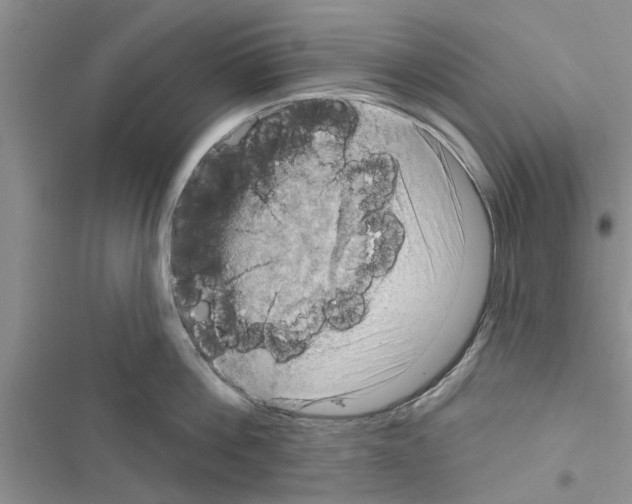 X0000116630812201001221359