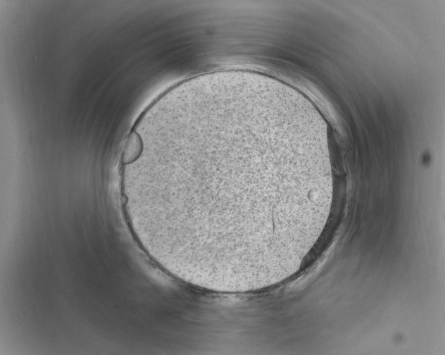 X0000116630814201001221359
