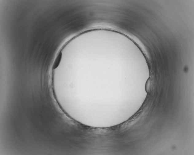 X0000116630815201001221359