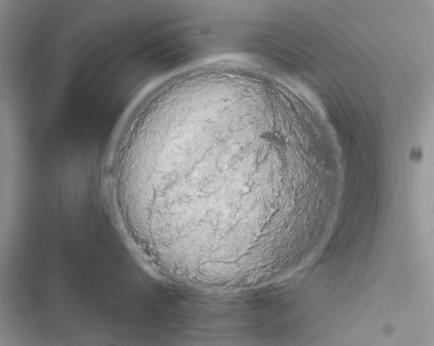 X0000116630816201001221359