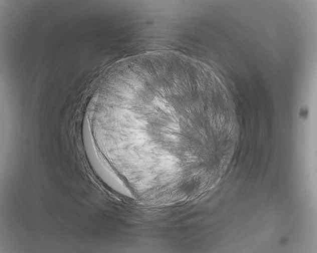 X0000116630817201001221359