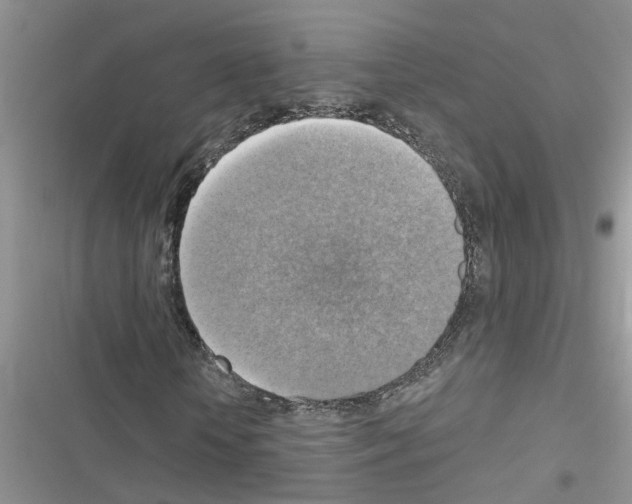X0000116630818201001221359