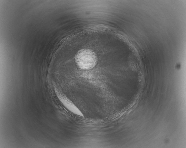 X0000116630819201001221359