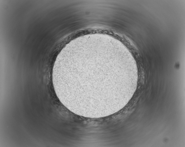 X0000116630821201001221359