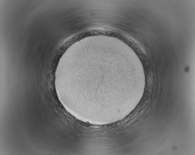 X0000116630822201001221359
