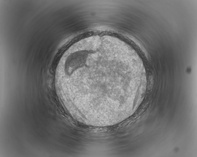 X0000116630823201001221359
