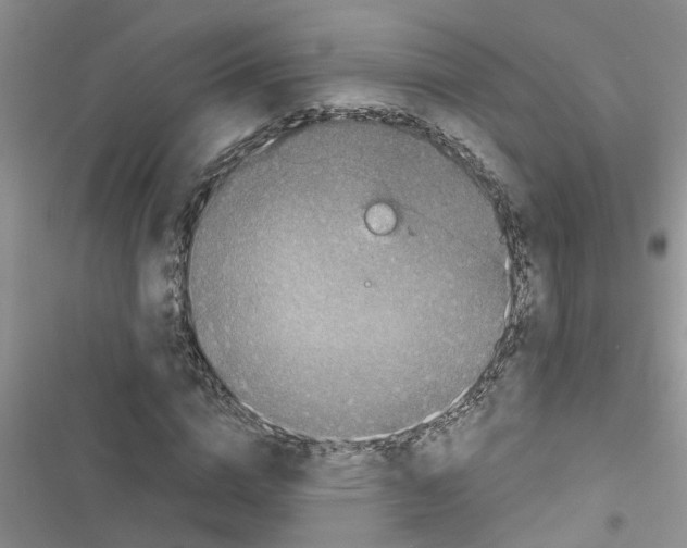 X0000116630824201001221359