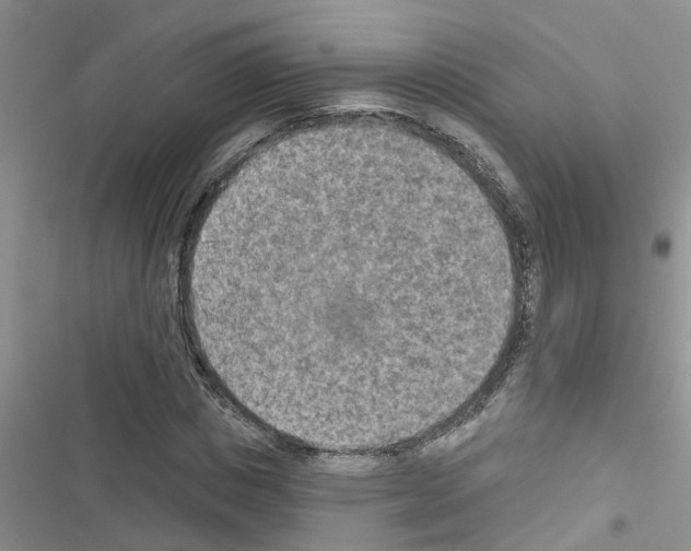 X0000116630825201001221359