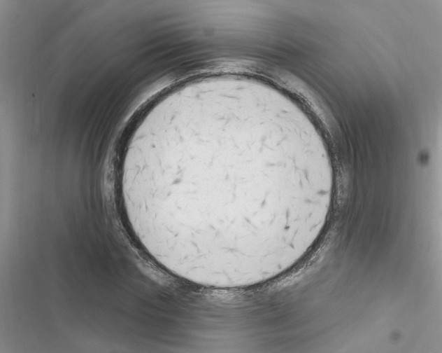 X0000116630827201001221359