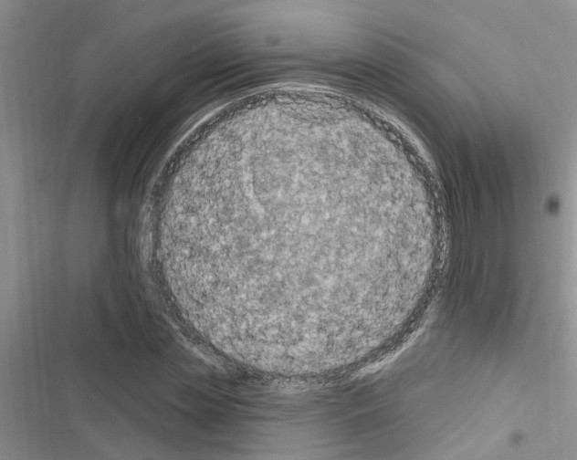 X0000116630829201001221359